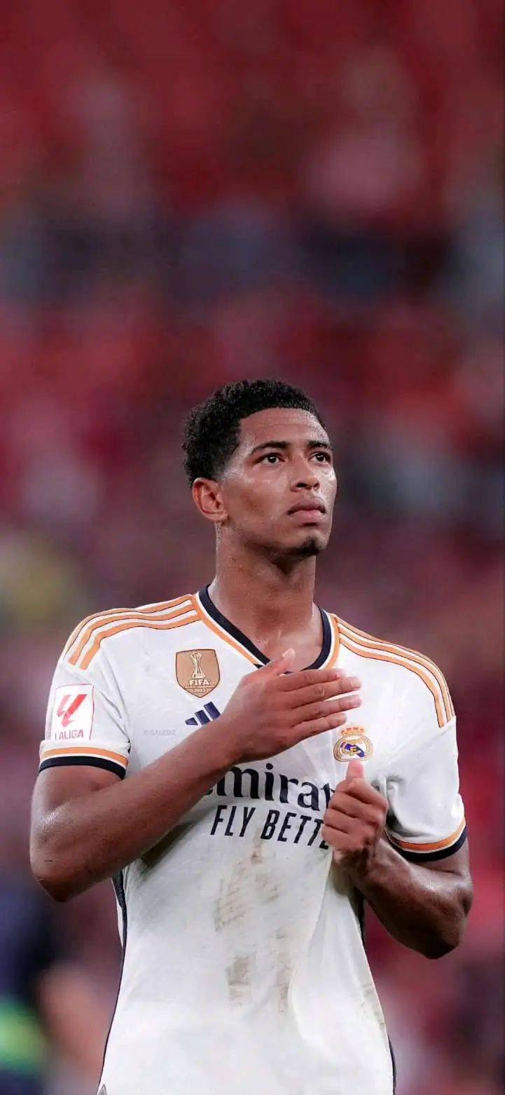 虚拟篮球博彩收入占比升至25%